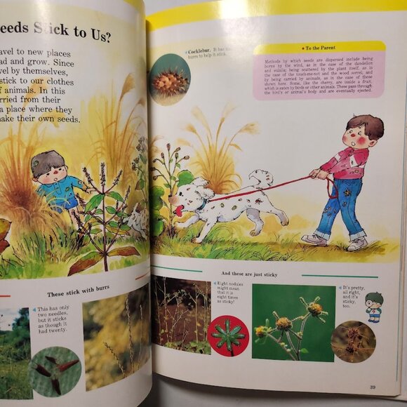 Flowers & Trees Child's First Library of Learning Hardcover Book Science Stem Ho - Picture 9 of 16